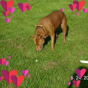 Meet your Posher, Norleen